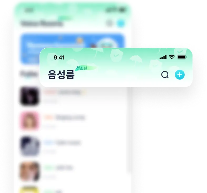음성룸의 분리